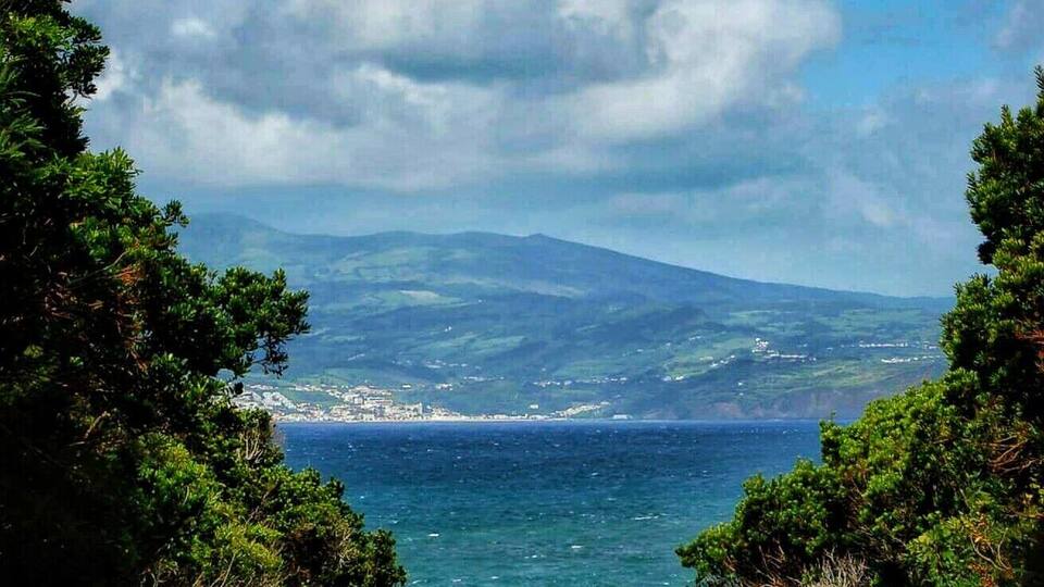 A coastal landscape with a clear view of the ocean, a mountain range in the distance, and dense green foliage framing the scene.