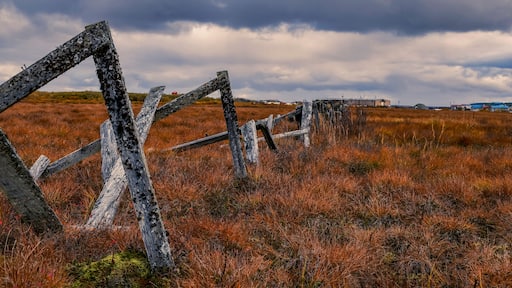 The Tundra, Yukon Delta
