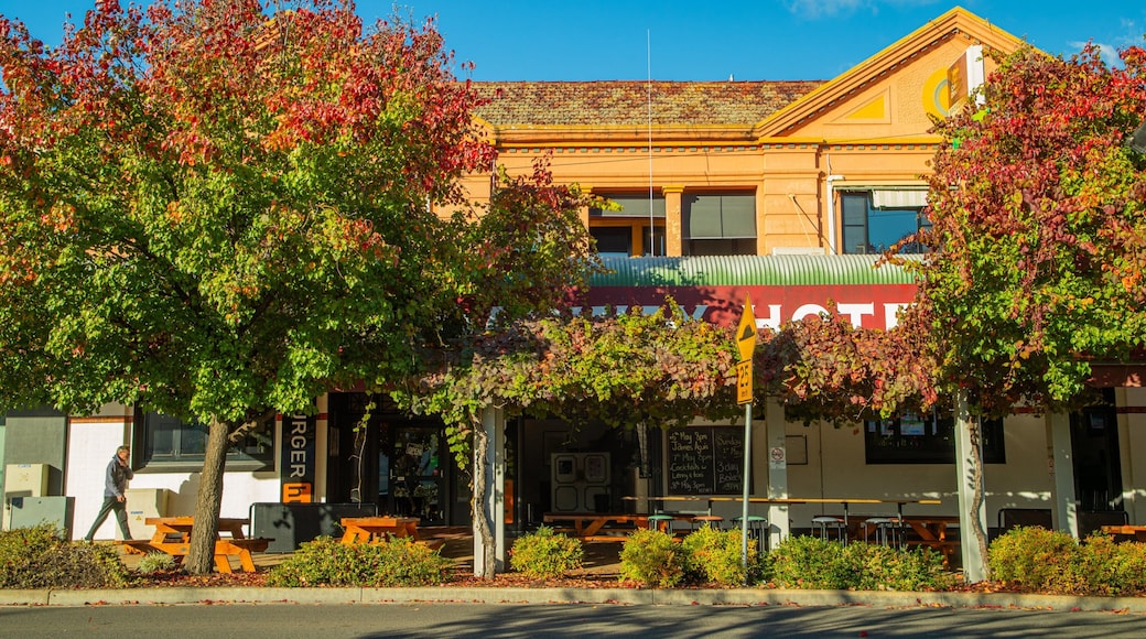 Parkes showing a small town or village