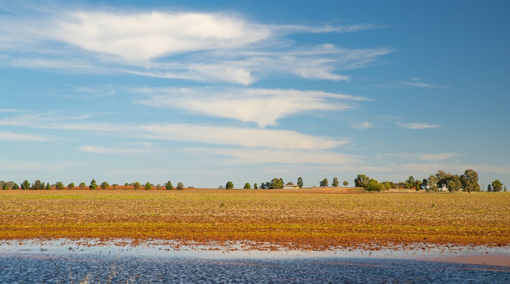 Parkes which includes tranquil scenes