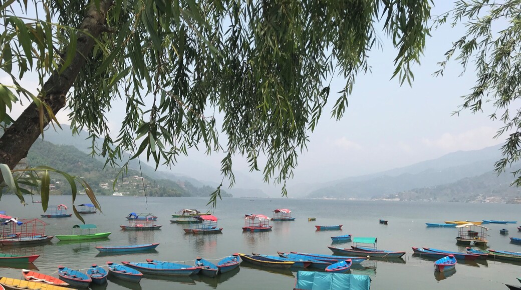 Parked Coloured boats in Phewa Lake. Do not forget to take a Boat trip if you are in Pokhara. Its a long and relaxing trip and and not so expensive.