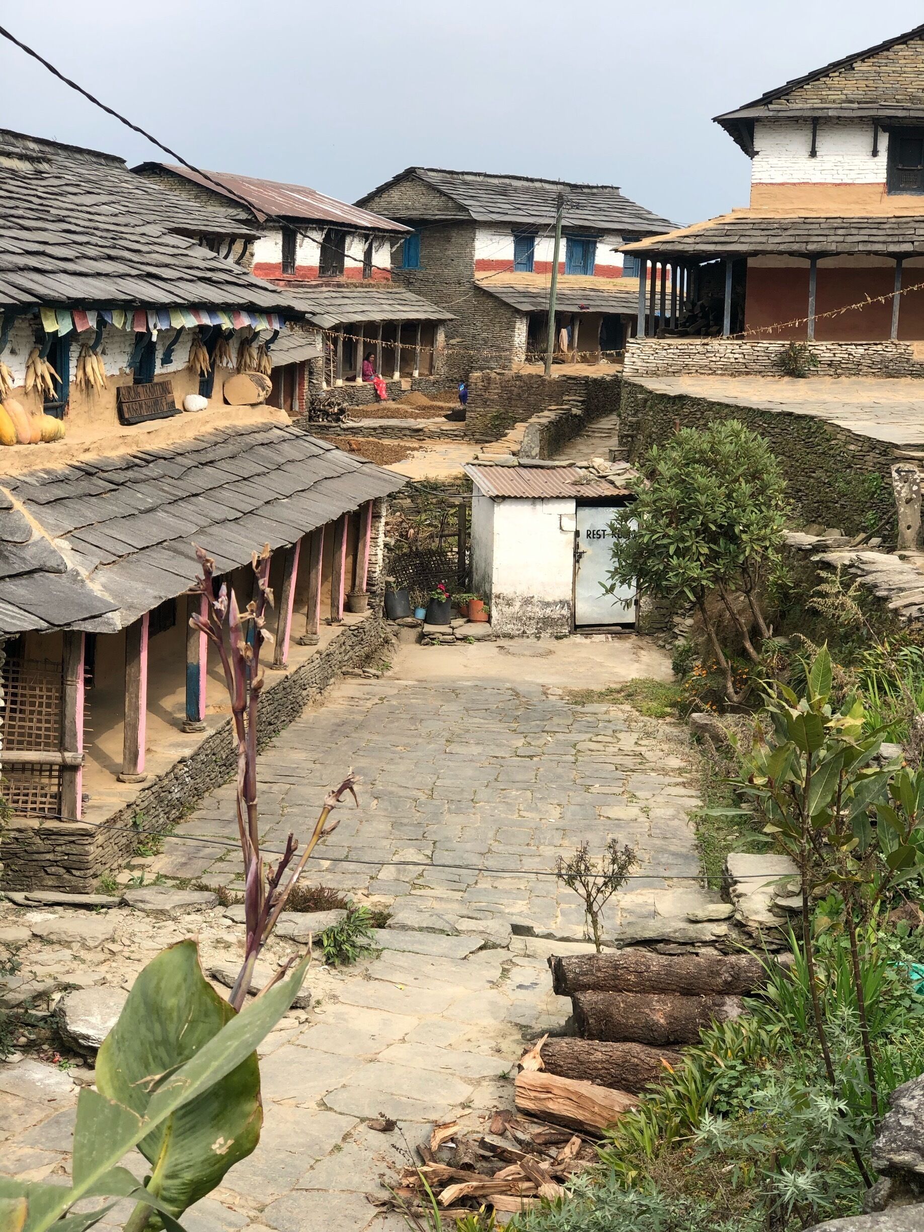 A stunning old village in Dhampus.