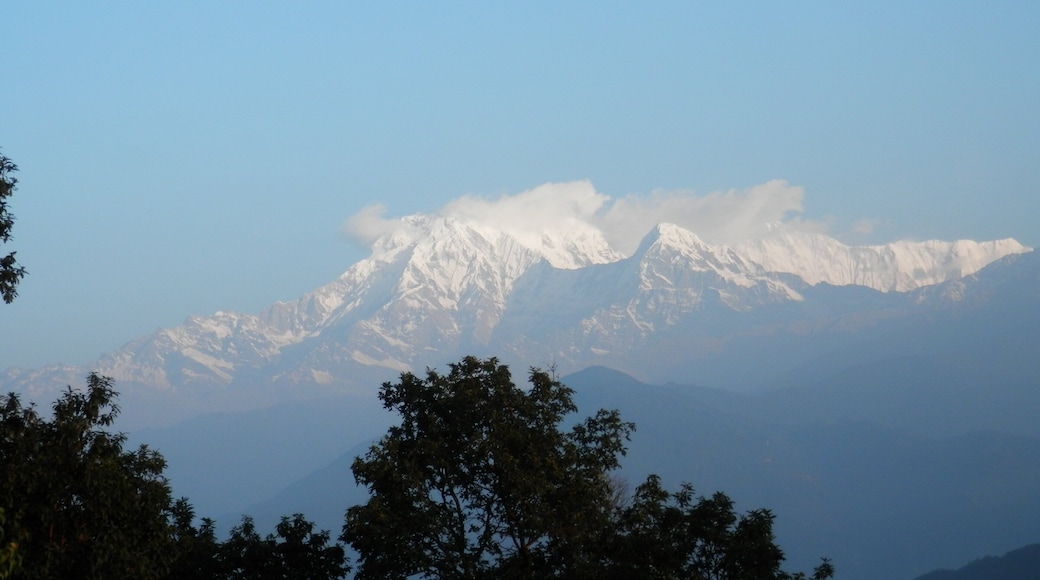 0_c41fc6c1-5ea5-480a-a172-b4de5c887212_raw