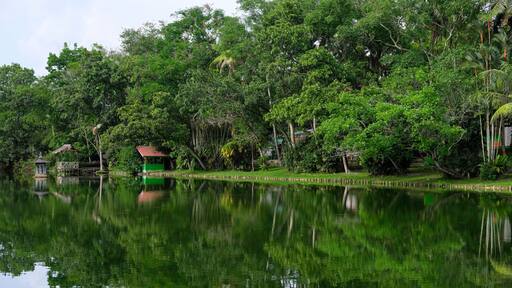 Beautiful landscape view of Alam Mayang Park in the afternoon, Pekanbaru, Indonesia.