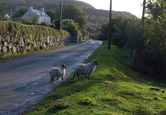 Sheep at Wotter A ewe and lamb on the road through the village, at the eastern edge of the square. Wotter House, in the background, is in SX5561.