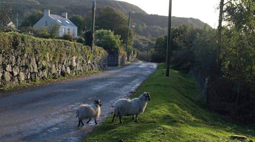 Sheep at Wotter A ewe and lamb on the road through the village, at the eastern edge of the square. Wotter House, in the background, is in SX5561.
