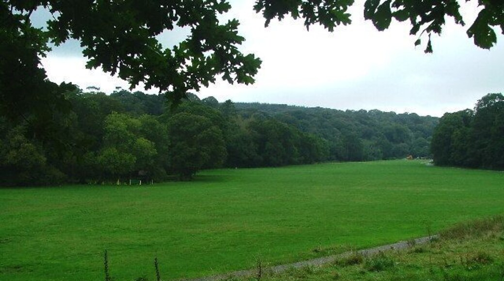 Newnham Park. Adjacent to Torry Brook and just off the Lee Moor Road, is Newnham Park; the photograph showing the 'meadow' which is frequently the focal point for a variety of activities ranging from mountain biking, carriage eventing through to trail running and music festivals, dependent on the time and date.