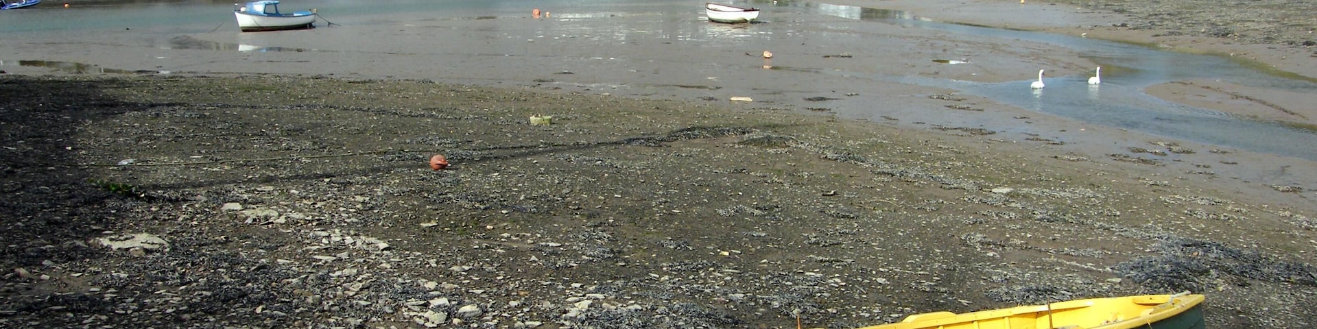 A rocky beach with a green and yellow boat tied to a buoy, surrounded by calm water and houses in the background.