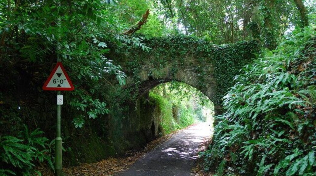 Old Bridge Situated at the top of the hill leading down to Winstone,this bridge used to carry the former driveway from Brixton Lodge to Kitley House.