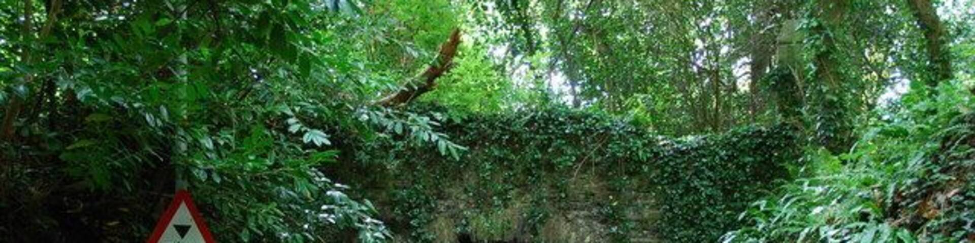 Old Bridge Situated at the top of the hill leading down to Winstone,this bridge used to carry the former driveway from Brixton Lodge to Kitley House.
