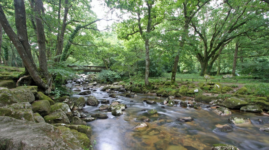 ... where the River Meavy meets the River Plym