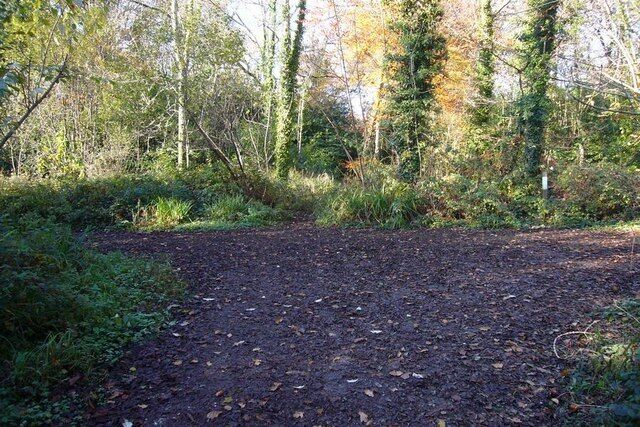 Junction of footpaths in Walks Brake wood The permissive footpath to Sparkwell is straight ahead but here it crosses another path running left to right.