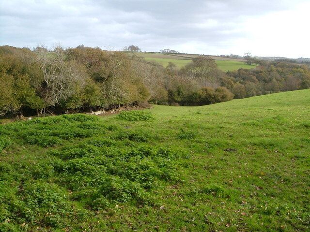Towards Cofflete Creek Looking across a field from a green lane track from Spriddlestone which continues among the trees on the left to descend towards the creek, but is unfortunately too choked to be used.