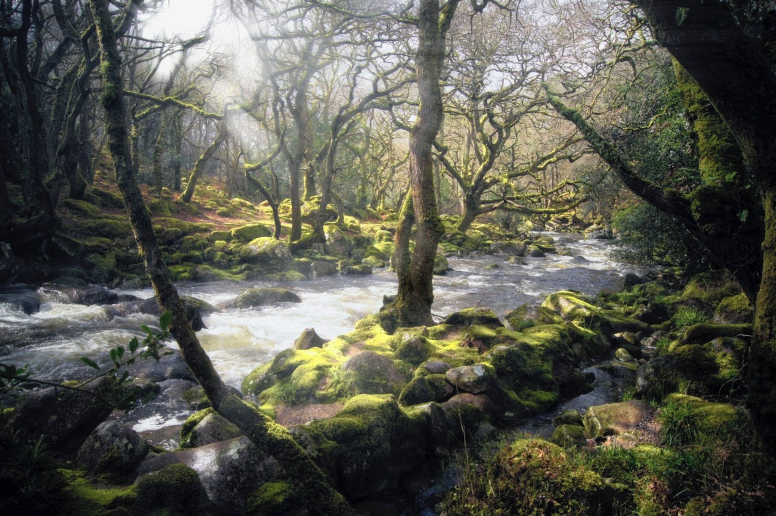 Mystical and ancient Dewerstone