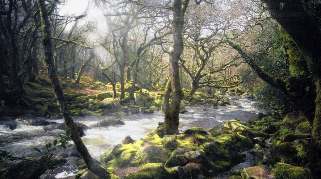 Mystical and ancient Dewerstone