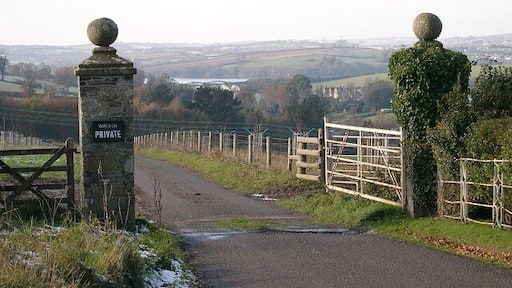 Gateway to Warleigh House. Situated by a gatehouse, Warleigh Lodge, these gates mark the start of a driveway to Warleigh House, over a kilometre away. This photograph looks west across the grid square towards the house and the River Tamar.