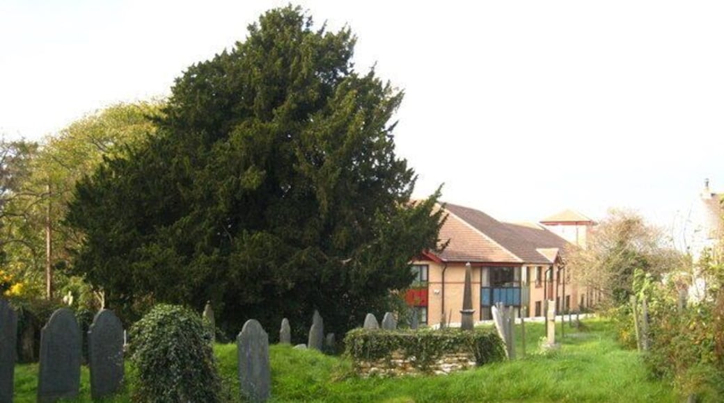 Part of St Mary and All Saints' parish churchyard, Plymstock, Devon, with a yew tree centre left
