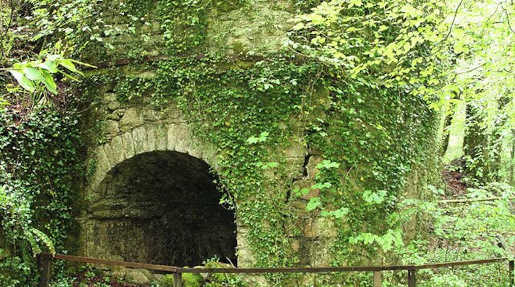 Yealmpton: limekiln by footpath At Western Torrs where there was a quarry. This was one of two or three kilns associated with the quarry. In the Yealm valley looking north-north-east