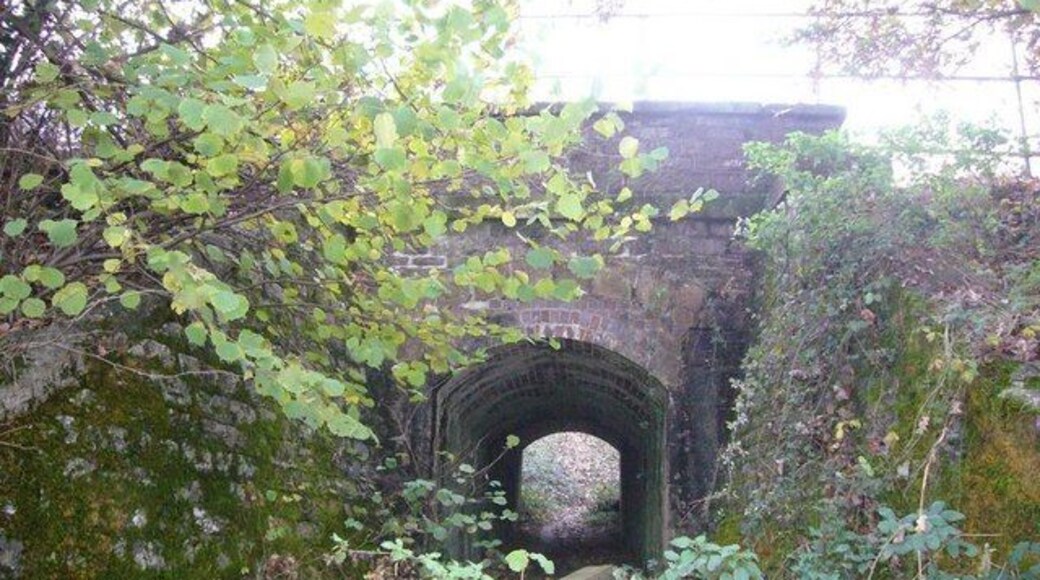 Footpath tunnel under railway near Hemerdon This view shows the footpath tunnel from the North side of the railway.