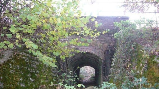 Footpath tunnel under railway near Hemerdon This view shows the footpath tunnel from the North side of the railway.