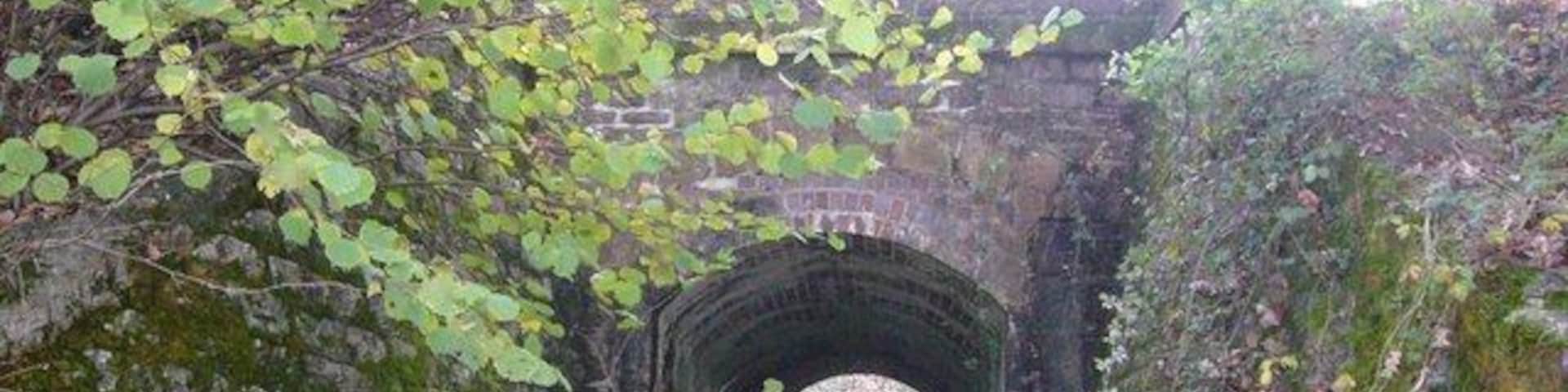 Footpath tunnel under railway near Hemerdon This view shows the footpath tunnel from the North side of the railway.