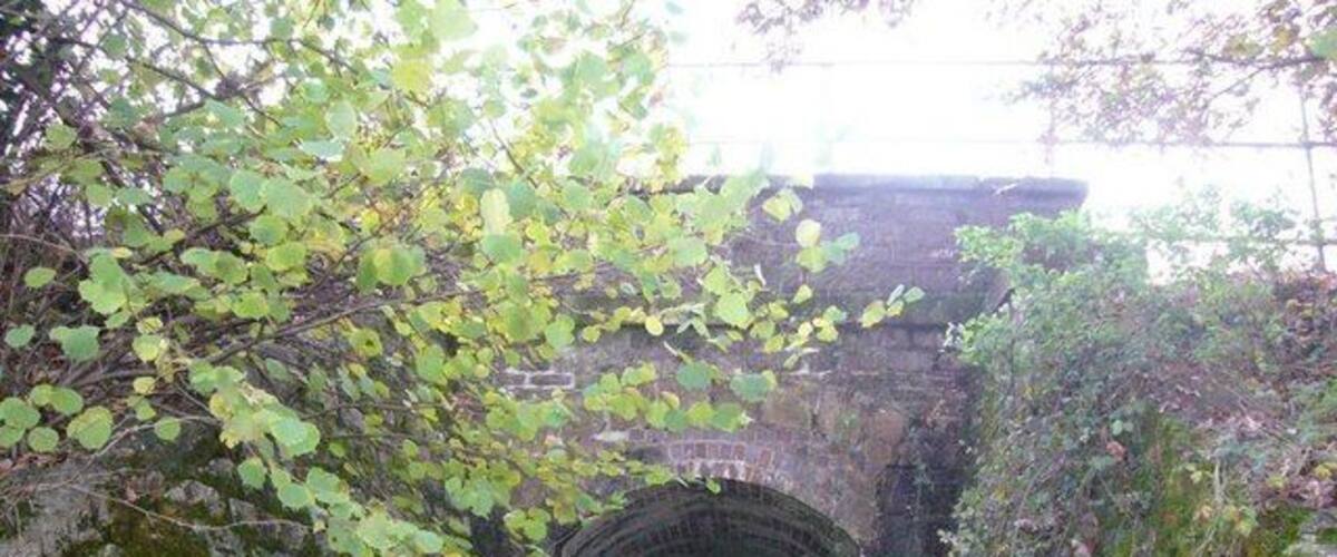 An old stone bridge in a wooded area.
