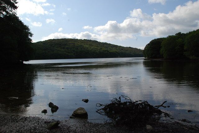 Tidal Inlet A small inlet looking out on to,Mudbank Lake.