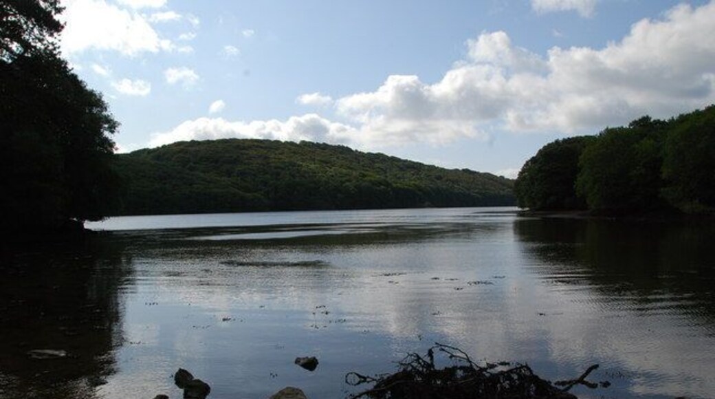 Tidal Inlet A small inlet looking out on to,Mudbank Lake.
