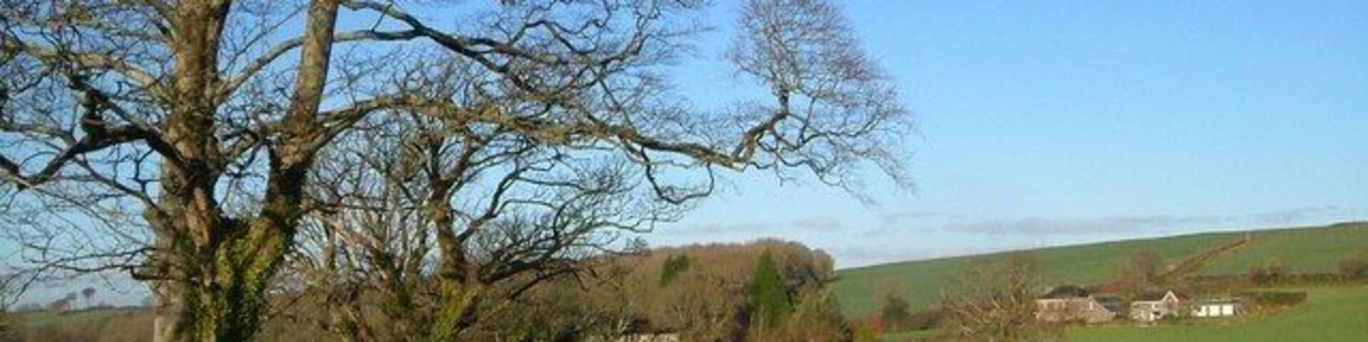 Stonycross. The junction shown in 295076, from the lane to Yeo Park. The house on the right is Stoneycross (with an e). Beyond the junction is Bedpark Plantation.