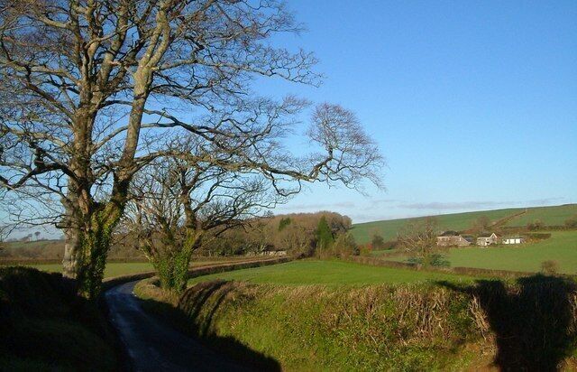 A rural road with a large tree on the left, green fields, and a distant white house.