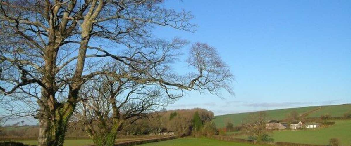 A rural road with a large tree on the left, green fields, and a distant white house.