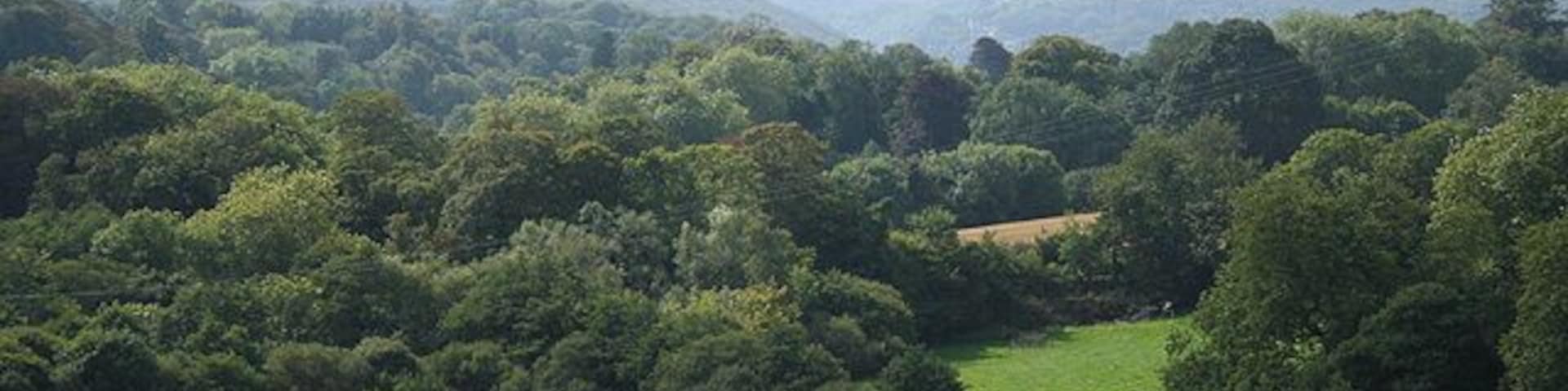 Brixton: near Scotch Fir Plantation On Footpath 16. The wooded hill on the skyline is on the far side of the Yealm estuary, by Newton Downs