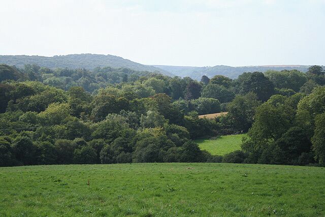 A lush green valley with rolling hills and dense forests.