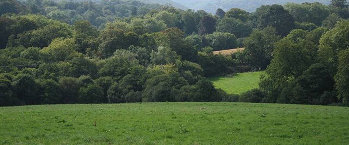 A lush green valley with rolling hills and dense forests.