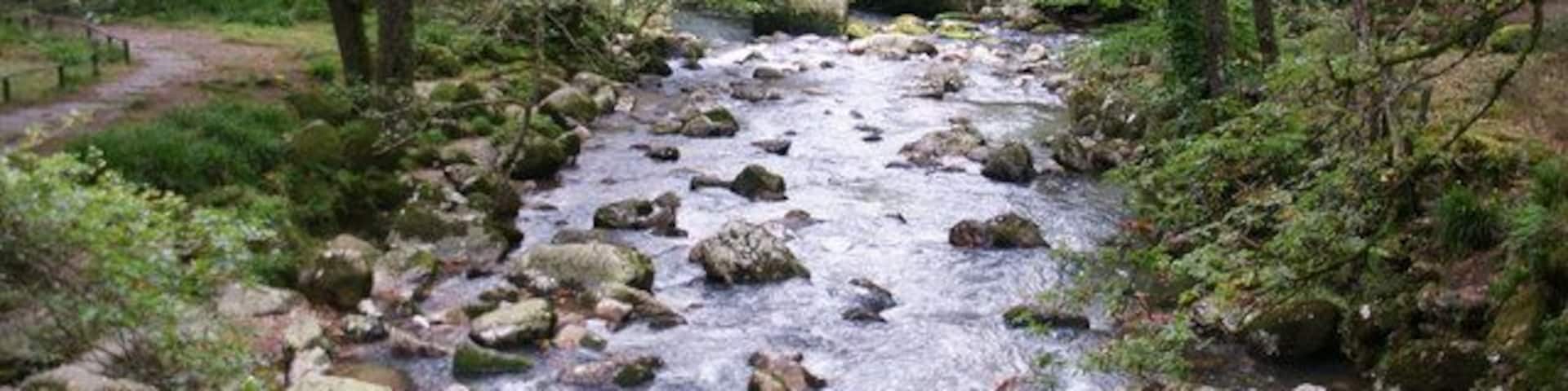 A river with rocks, a bridge, and surrounding trees.