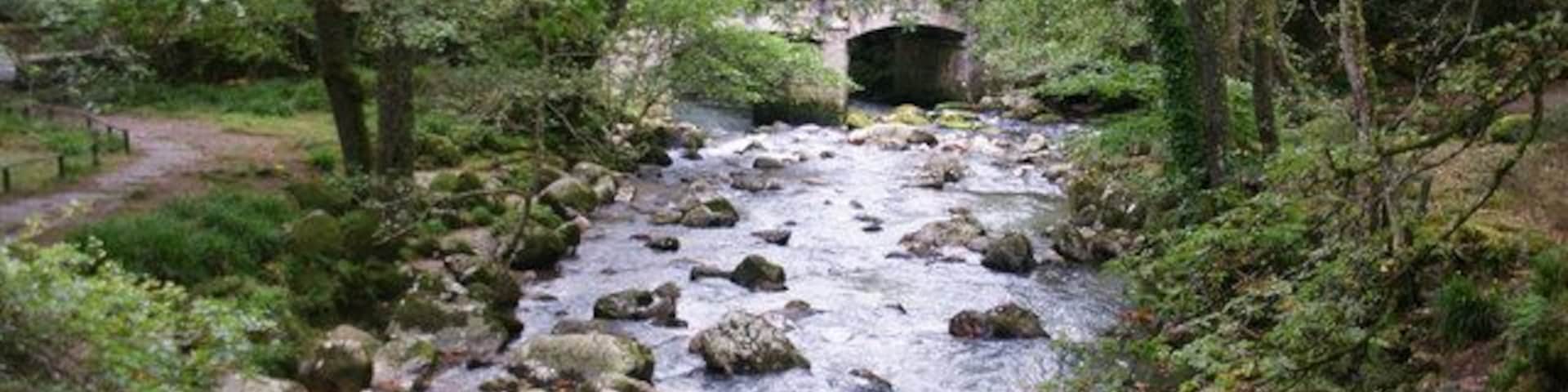 Un río con rocas, un puente y árboles en los alrededores.
