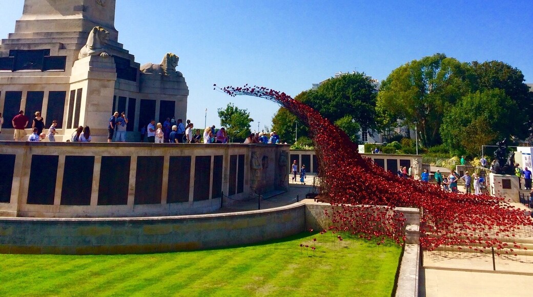 Poppy installation