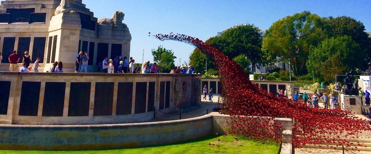 Poppy installation