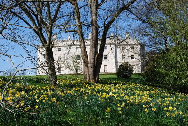 A large building with a garden full of yellow flowers.