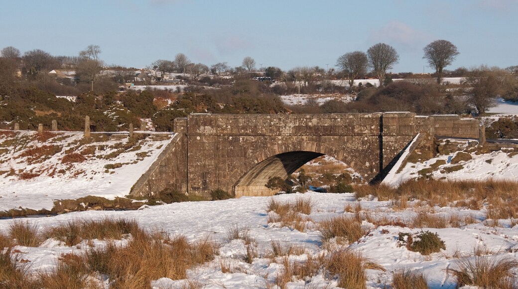 Cadover Bridge, over the River Plym on Dartmoor. The photo was taken after heavy snowfall throughout the UK.