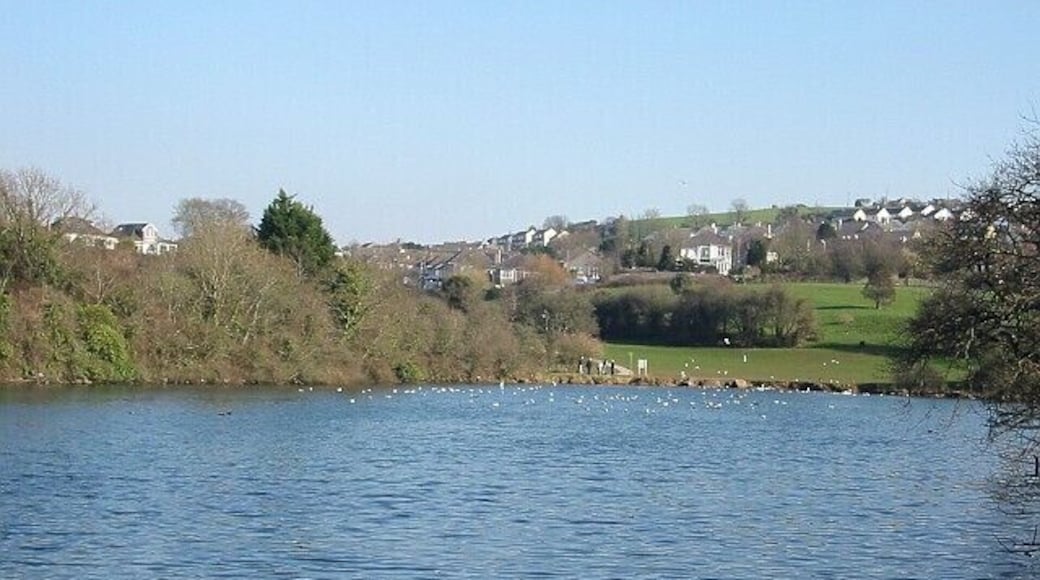 Radford Lake in Plymstock. This used to be an area of tidal mudflats but was dammed to form a freshwater lake. It is surrounded by suburban housing.