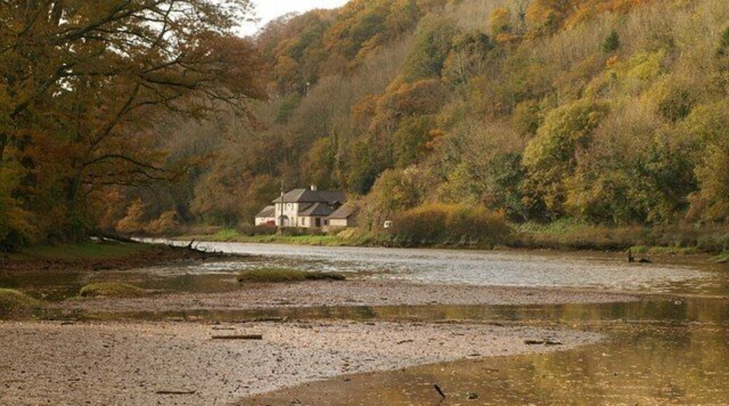 Tamerton Lake The creek below Tamerton Foliot, seen from close to its head and the normal tidal limit. Salts Cottage nestles below Tor Plantation.