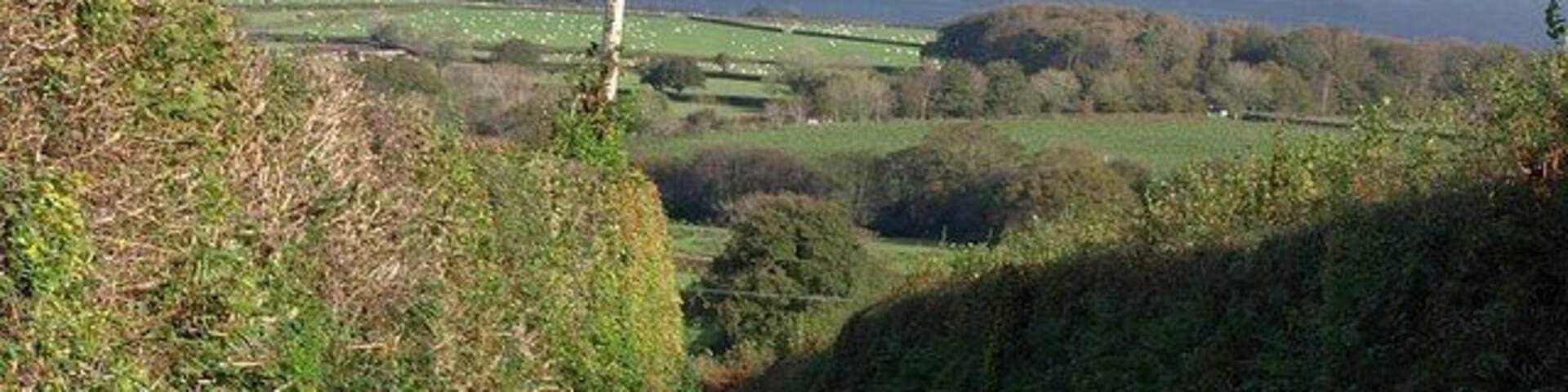 Lane to Lower Venton. From 619935, looking down the lane on the left. The wood on the right is Hook's Brake, in SX5957, and the main Plymouth-Ivybridge railway line runs in front of it.