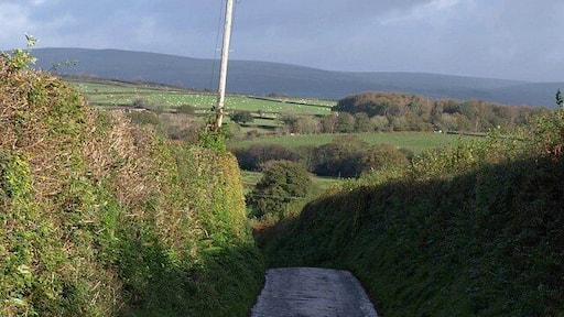 Lane to Lower Venton. From 619935, looking down the lane on the left. The wood on the right is Hook's Brake, in SX5957, and the main Plymouth-Ivybridge railway line runs in front of it.
