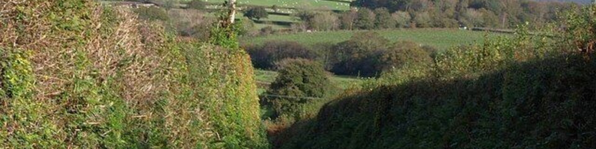 Lane to Lower Venton. From 619935, looking down the lane on the left. The wood on the right is Hook's Brake, in SX5957, and the main Plymouth-Ivybridge railway line runs in front of it.