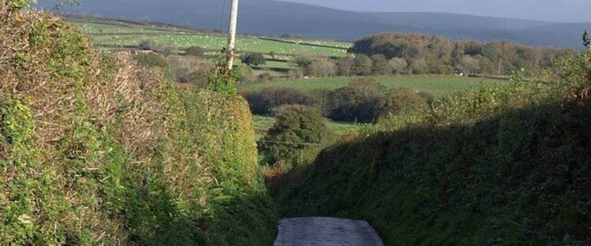 A narrow rural road flanked by lush greenery and rolling hills in the distance.