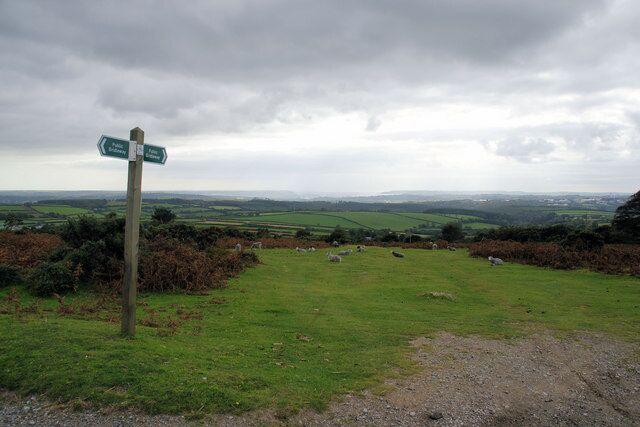 Bridleway, Near Beatland Corner The bridleway heading south-west after crossing the road. On the horizon is Plymouth harbour.