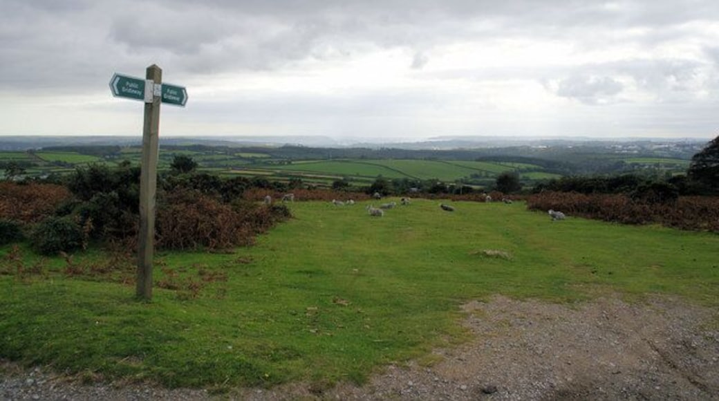 Bridleway, Near Beatland Corner The bridleway heading south-west after crossing the road. On the horizon is Plymouth harbour.