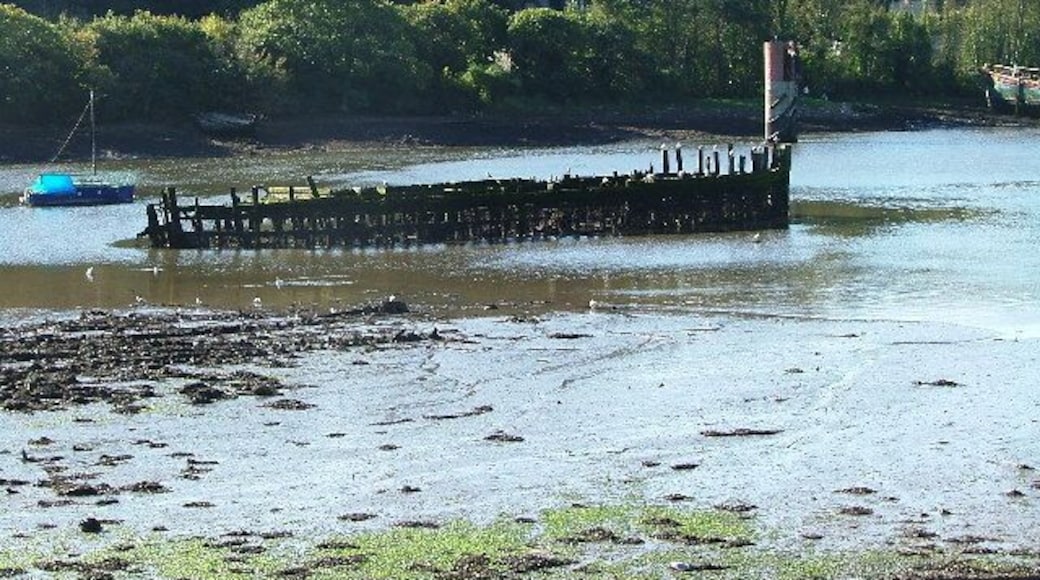 Hulk, Hooe Lake. Within the eastern end of Hooe Lake are the remnants of a number of old 'hulks' abandoned during the early part of the 20th century. Beyond and behind the first line of trees upon the shore is the local sewage works, with the sludge loading point immediately behind the bow of the hulk.