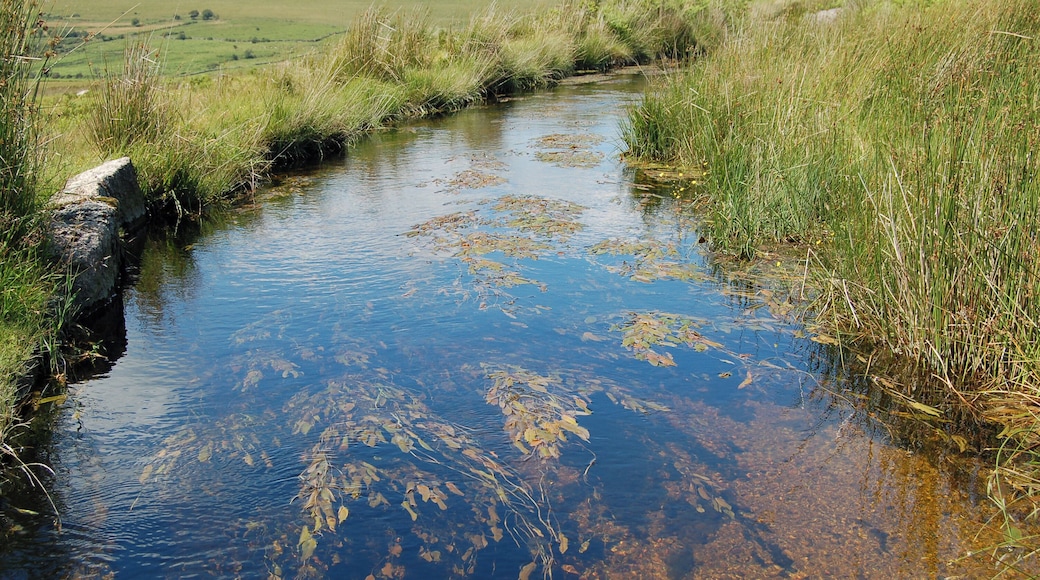 A flowing leat on southern Dartmoor, beneath Little Trowlesworthy Tor. It runs from the River Plym to the Lee Moor china clay works.